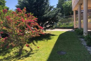 Platán Idősek Otthona és Betegápolási Intézet Kincsesbánya